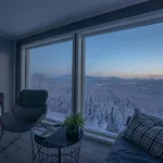 Aurora Borealis Observatory 리조트