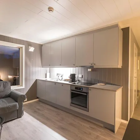 Aurora Borealis Observatory Resort