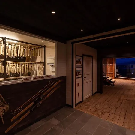 Aurora Borealis Observatory Silsand