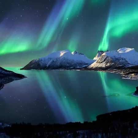 Aurora Borealis Observatory Üdülőközpont Silsand