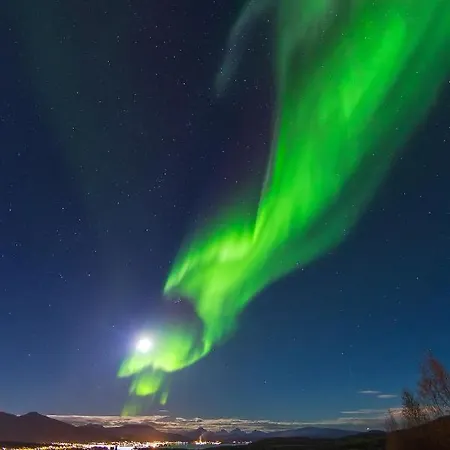 Aurora Borealis Observatory * Silsand