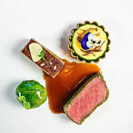 Aurora Borealis Observatory *