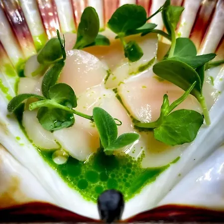 Aurora Borealis Observatory *