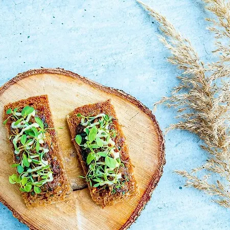 Aurora Borealis Observatory Silsand