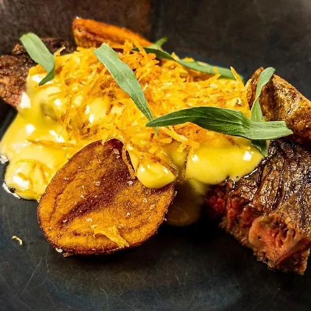 Aurora Borealis Observatory * Silsand