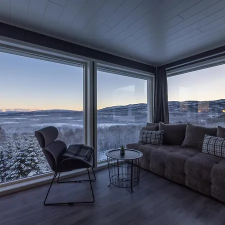 Aurora Borealis Observatory