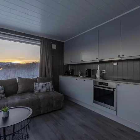 Aurora Borealis Observatory