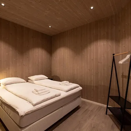 Aurora Borealis Observatory