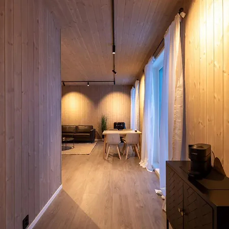 Aurora Borealis Observatory Silsand