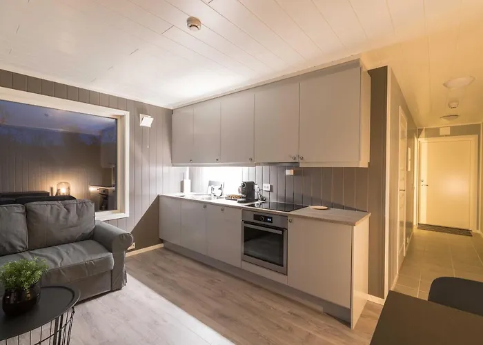 Aurora Borealis Observatory Resort