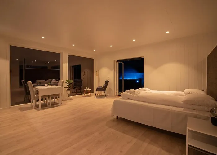 Aurora Borealis Observatory