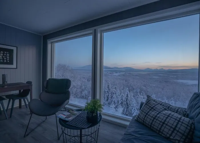 Aurora Borealis Observatory Resort