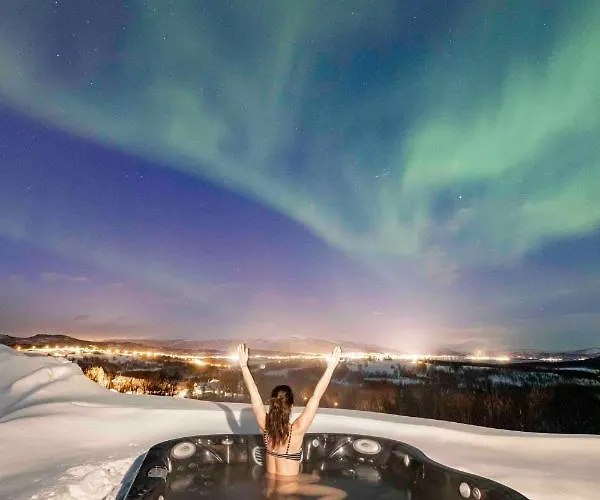 Aurora Borealis Observatory