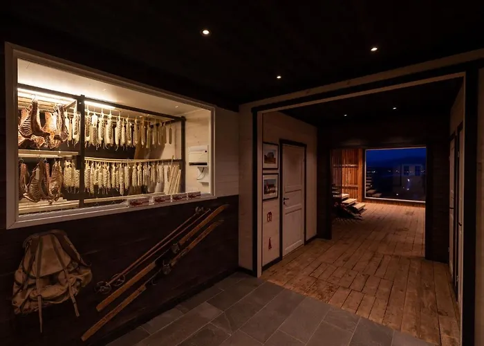 Aurora Borealis Observatory Silsand