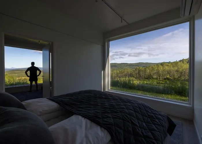 Aurora Borealis Observatory