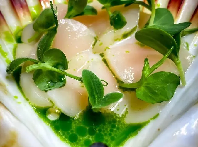 Aurora Borealis Observatory *