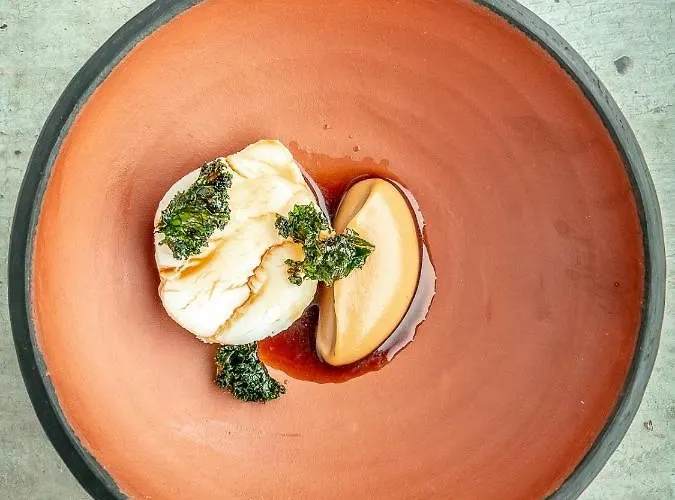 Aurora Borealis Observatory * Silsand