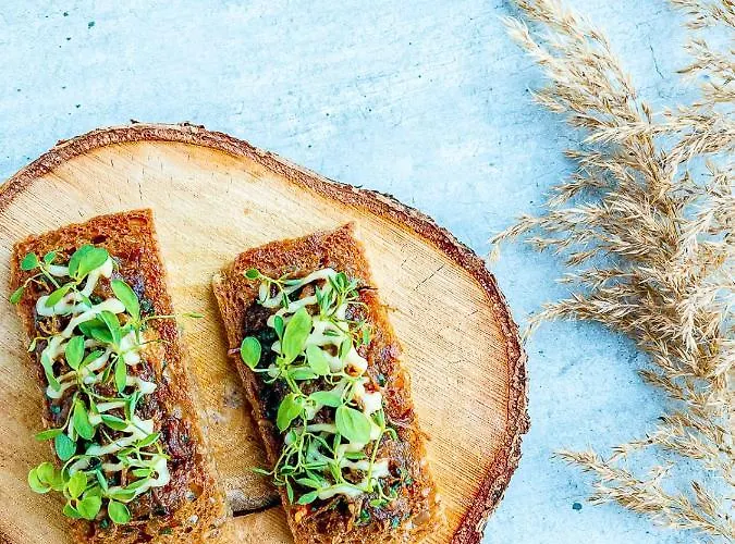 Aurora Borealis Observatory Silsand