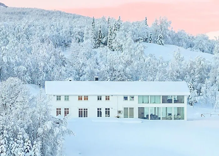 Resort Aurora Borealis Observatory *