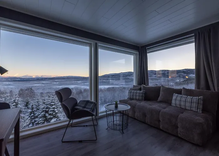 Aurora Borealis Observatory