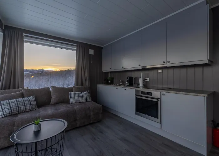 Aurora Borealis Observatory