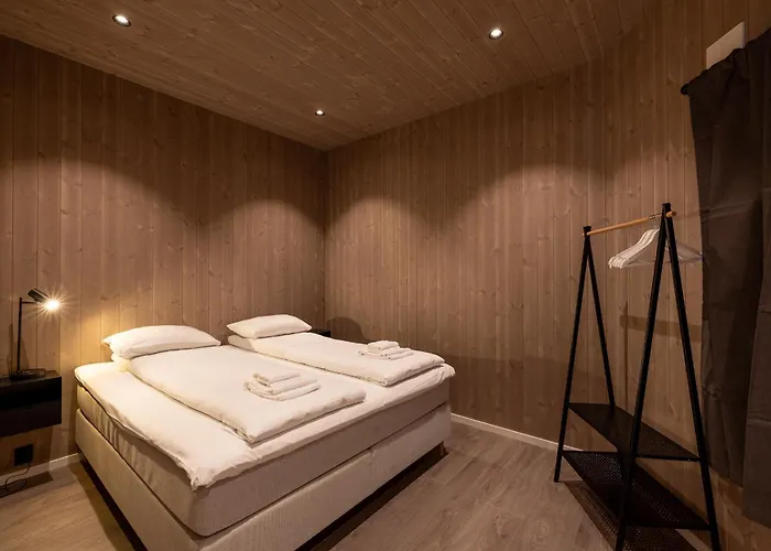 Aurora Borealis Observatory