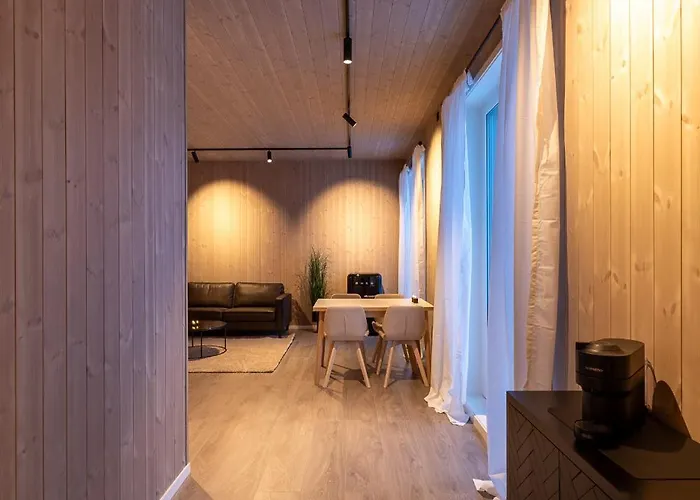 Aurora Borealis Observatory Silsand