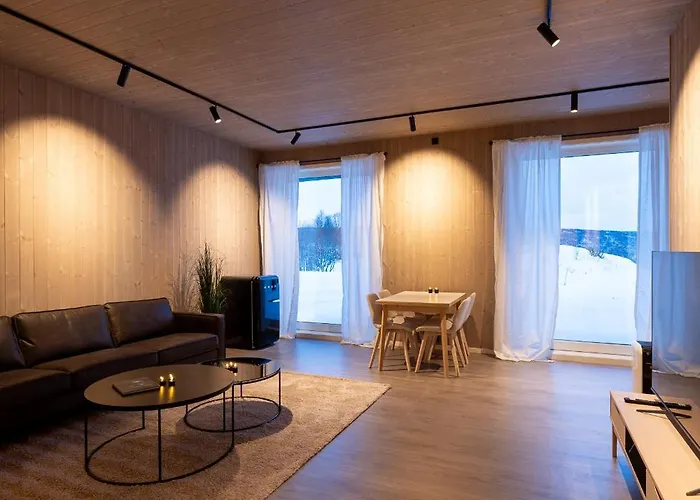 Aurora Borealis Observatory