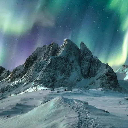 Aurora Borealis Observatory Resort