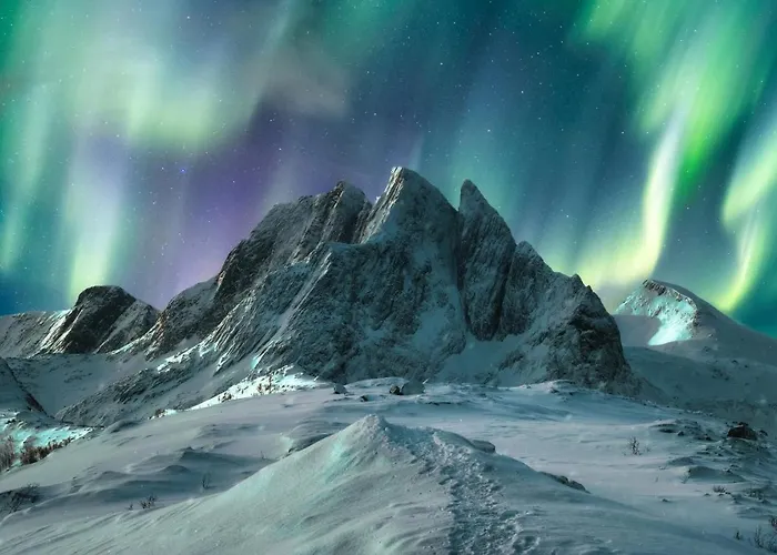 Aurora Borealis Observatory Ośrodek wypoczynkowy